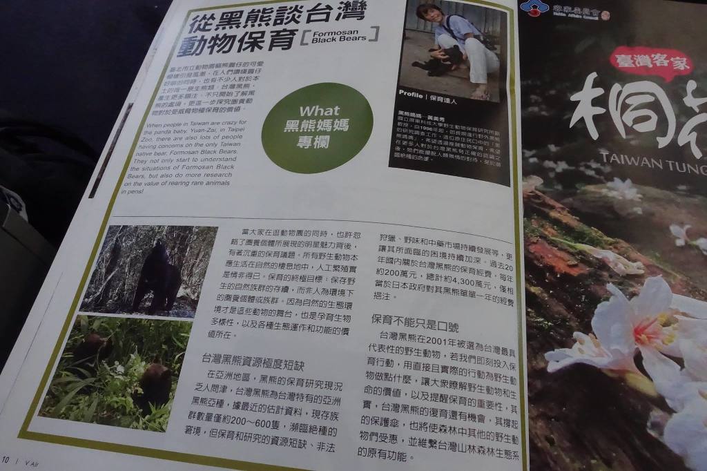 photo 1323 DSC08290 Article on Formosa Black Bears